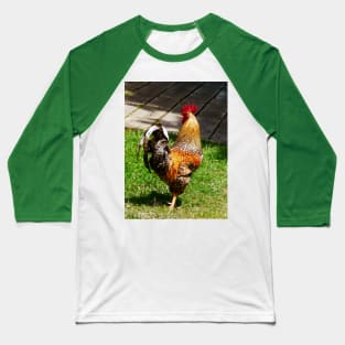 Chickens - Strutting Rooster Baseball T-Shirt